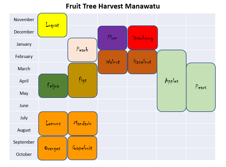 A chart shows the fruit tree harvest schedule in Manawatu