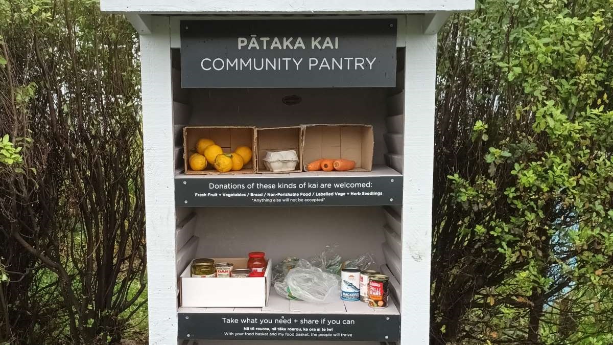 Community shelves in a park filled with fruit and tinned food.