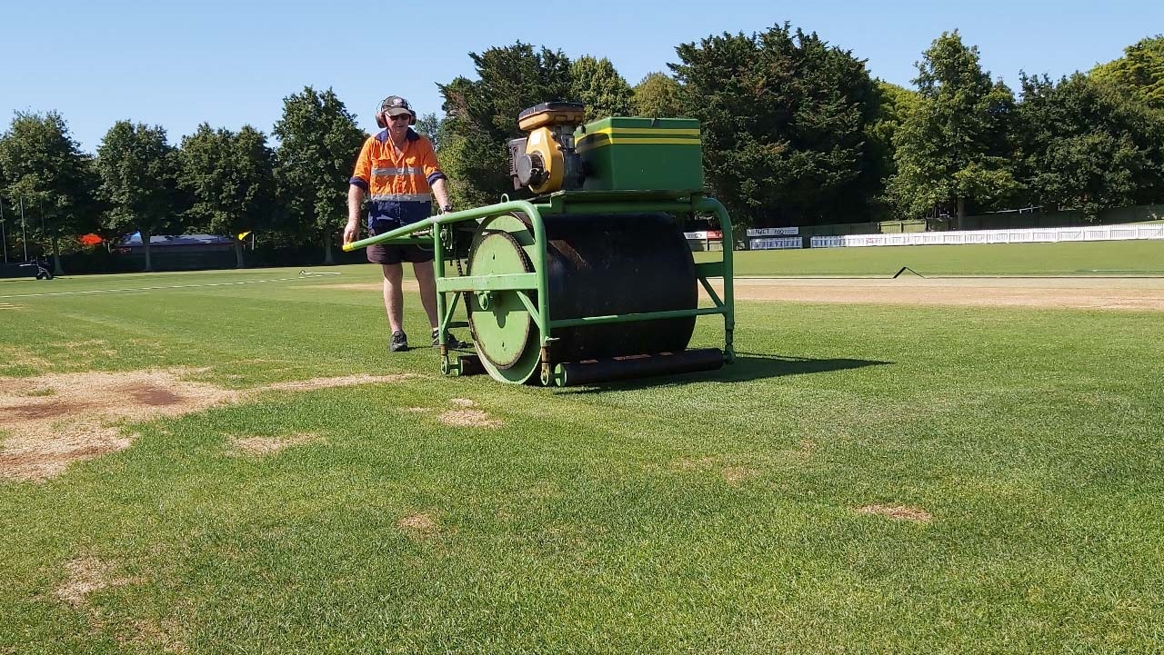 Photo shows a groundman rolling the wicket in preparation of a cricket match.