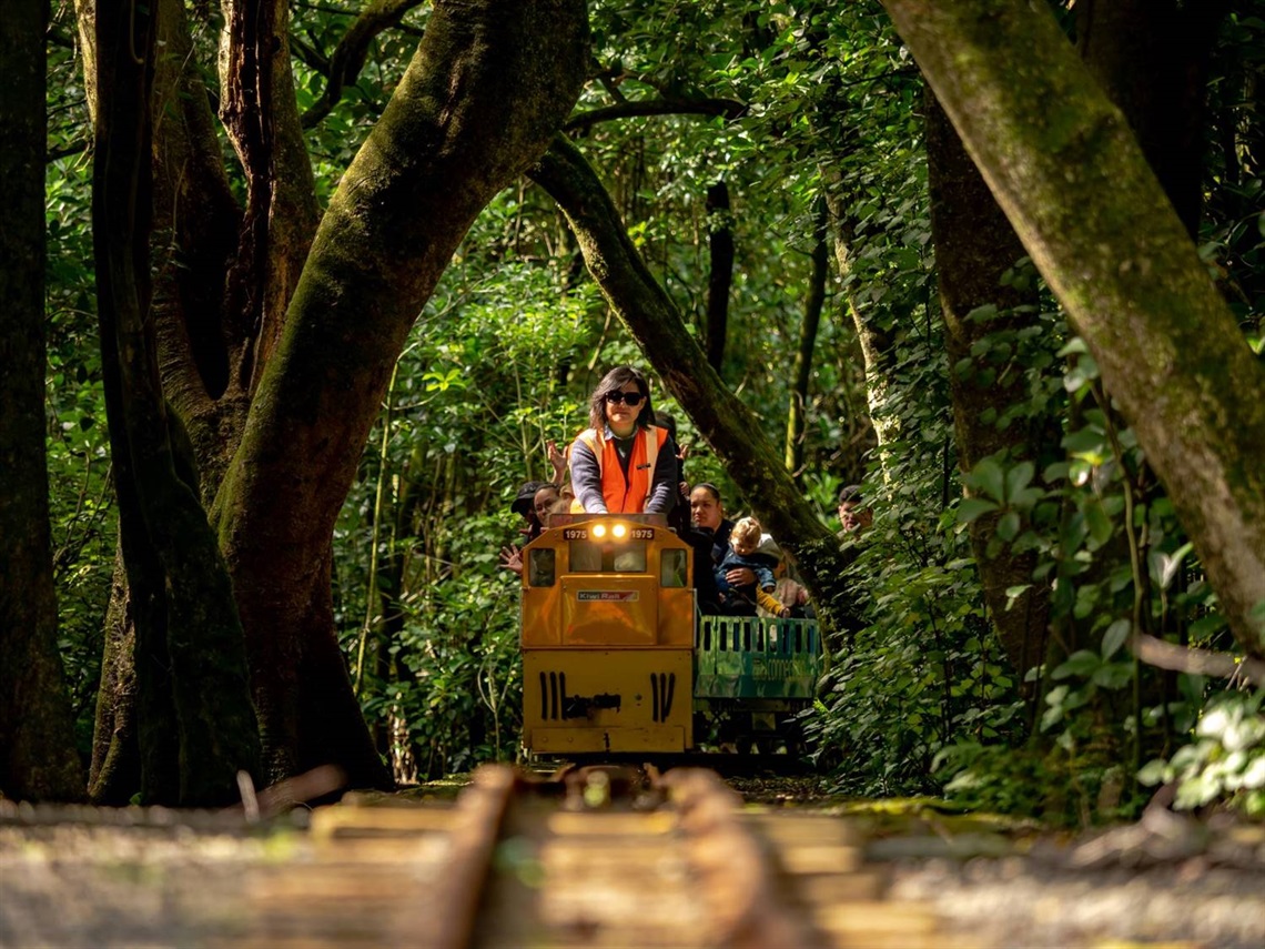 Driver at front of miniature train filled with families riding through the bush, surrounded by trees.