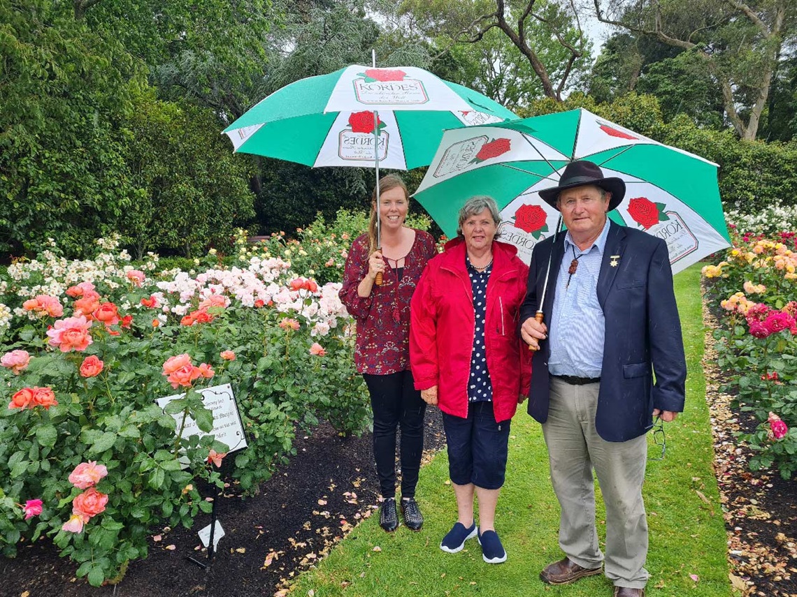 Picture shows three people standing in a rose garden with umbrellas in hand.