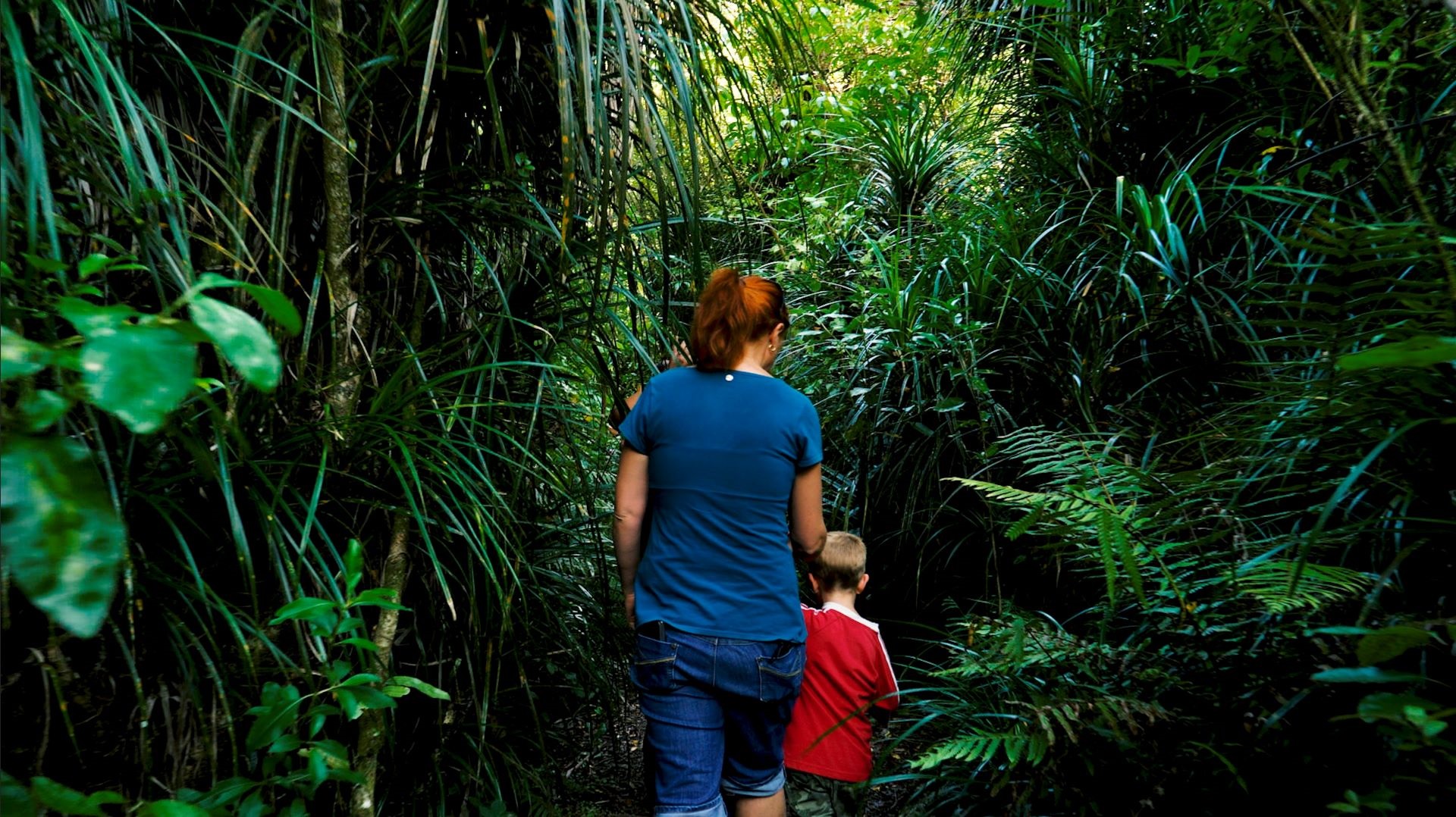 Photo shows mother and child walking hand in hand through the bush in the Domain.