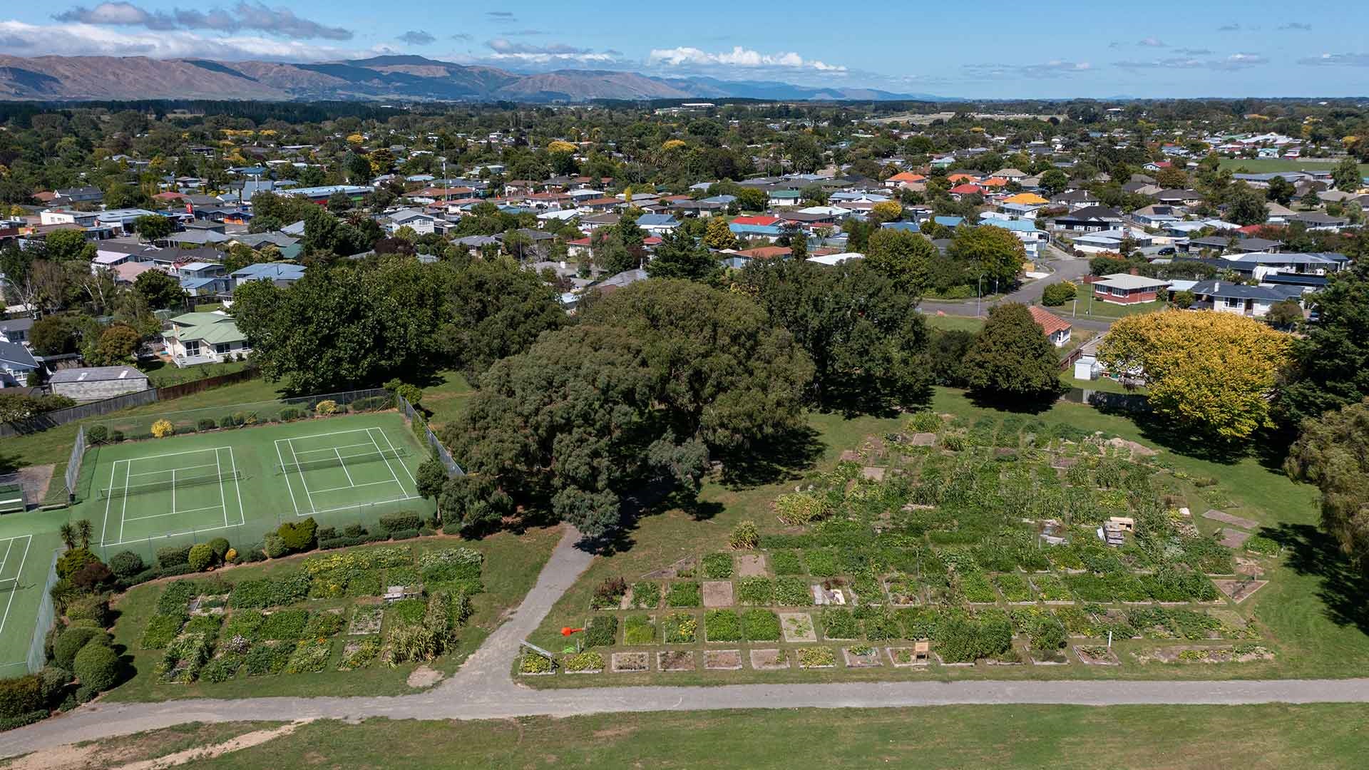 Aerial view of two tennis courts sitting next to community vegetable gardens