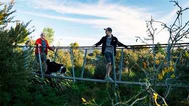 Swingbridge