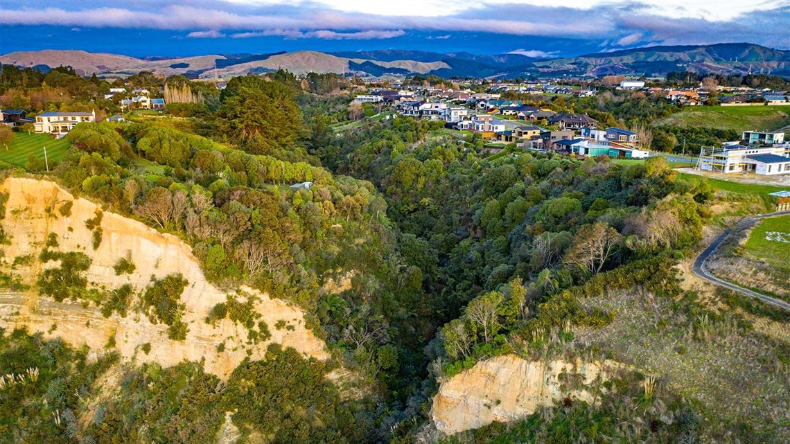 Photo shows aerial view of gully heavily planted with natives, with sprawling homes and the ranges visible in the background.