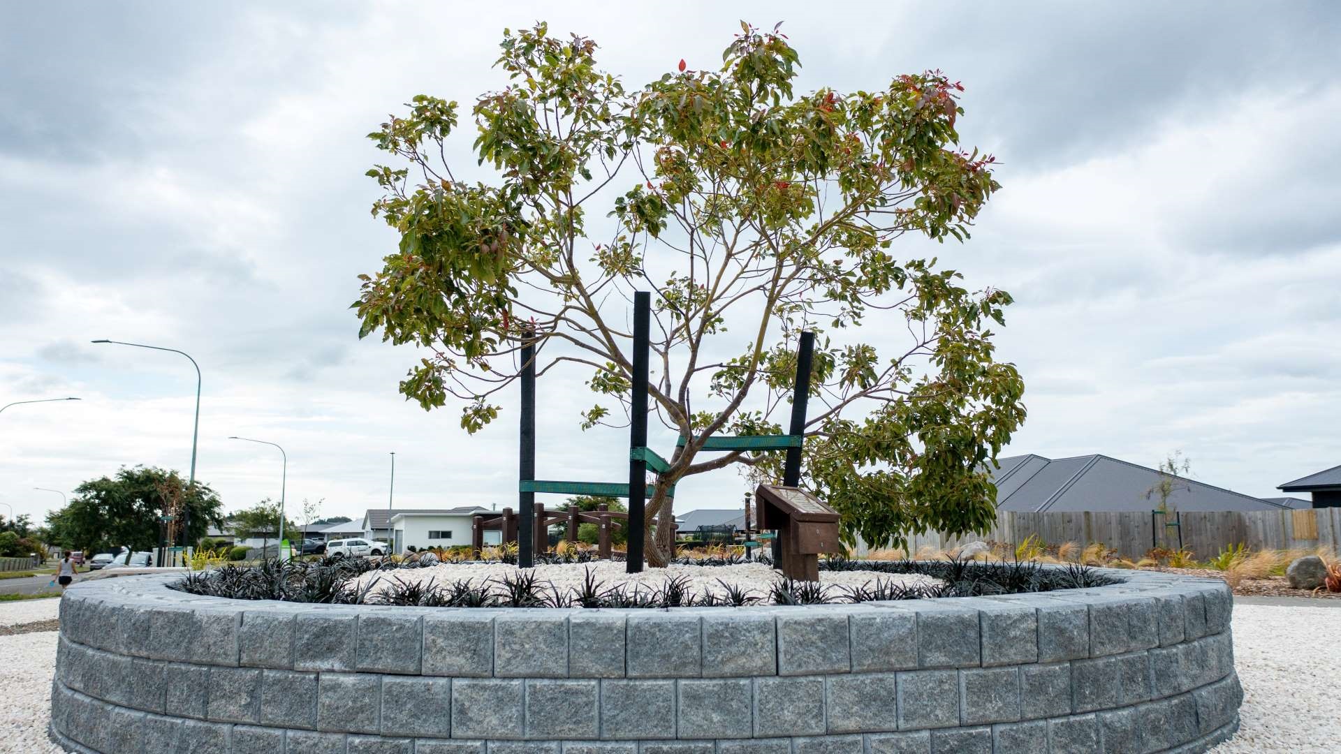 Photo shows the Peace Tree.