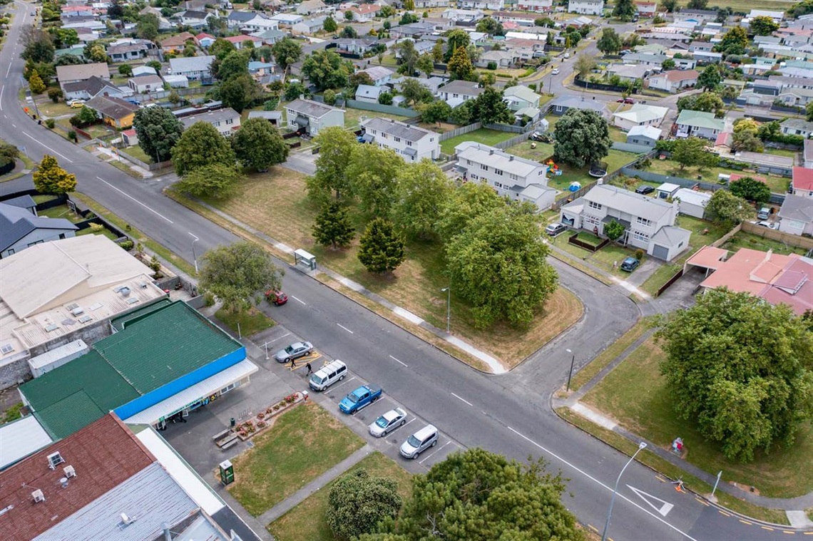 Image shows ariel view of grass and bush in a residential area.