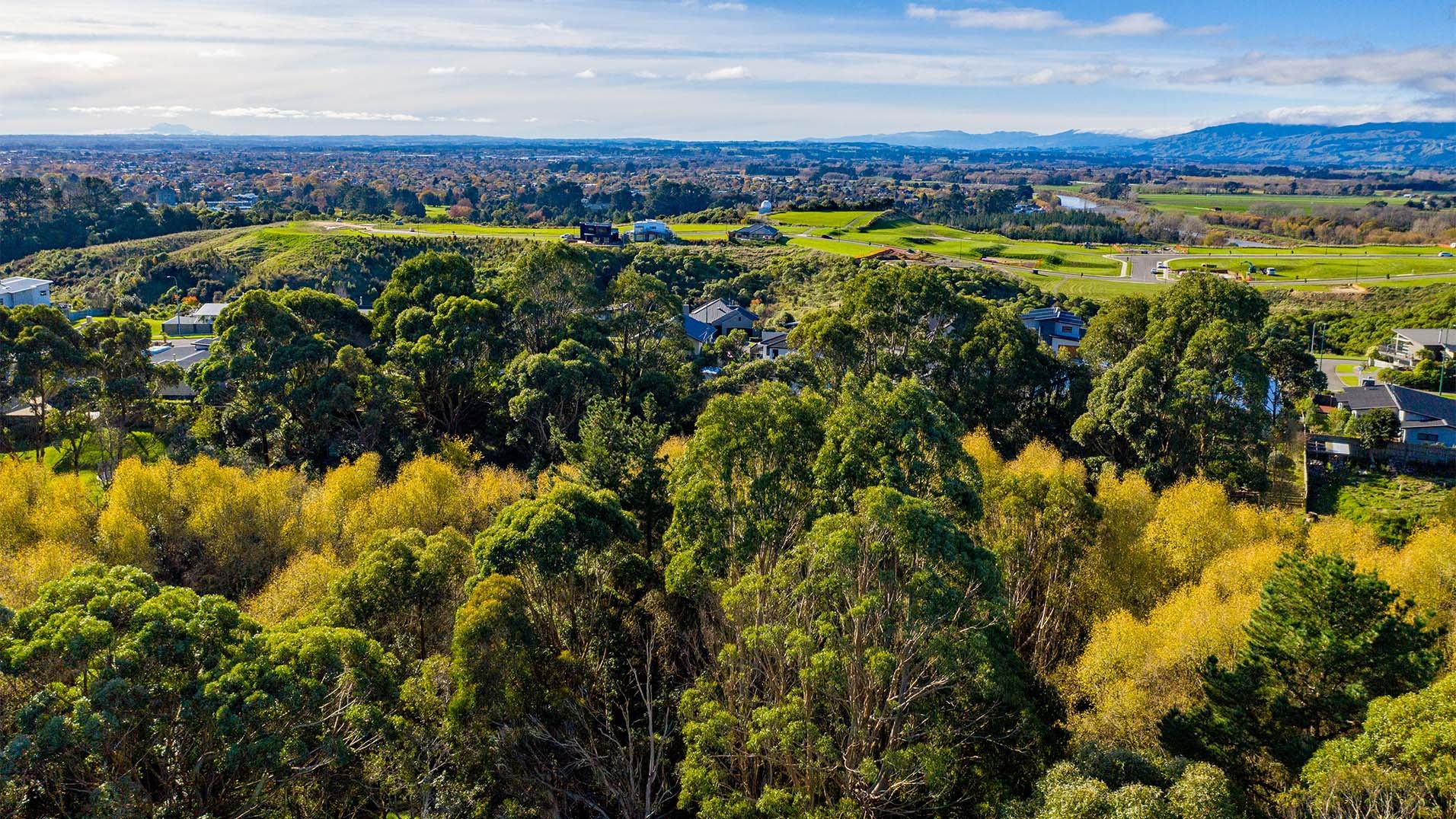 Photo shows birds-eye view of a heavily forested gully with the city stretching out in the distance.