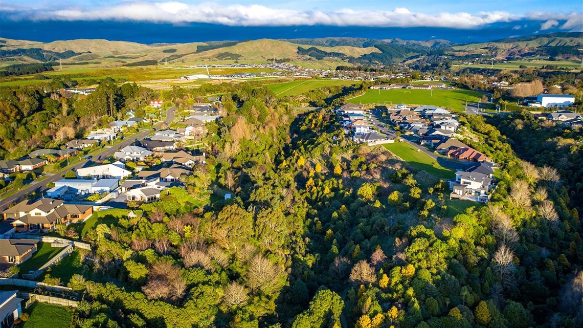 Photo shows aerial view of a heavily forested gully with sprawling homes on the hilltops in the background.