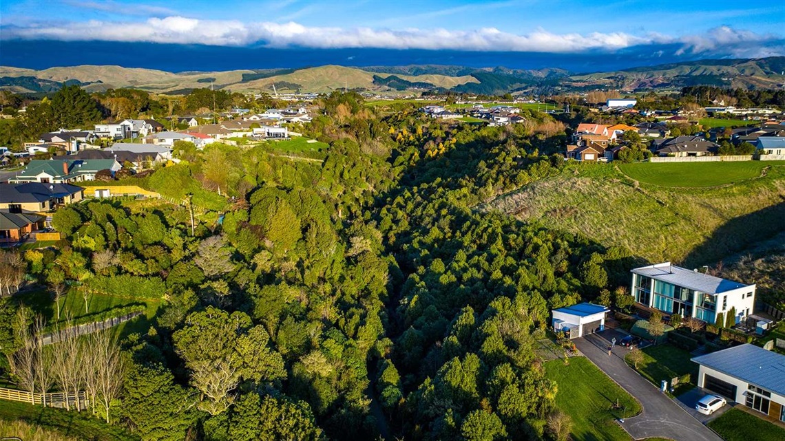 Photo shows aerial view of heavily forested hilly reserve with the Tararua Ranges in the background.