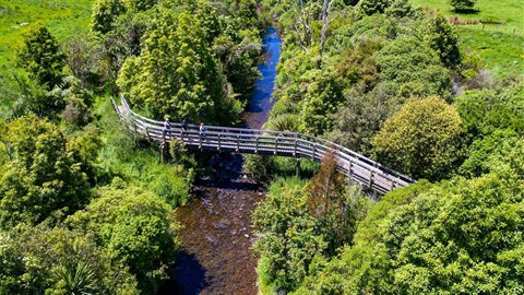 Aerial view of people walking on the bridge over a stream with native plants surrounding. 