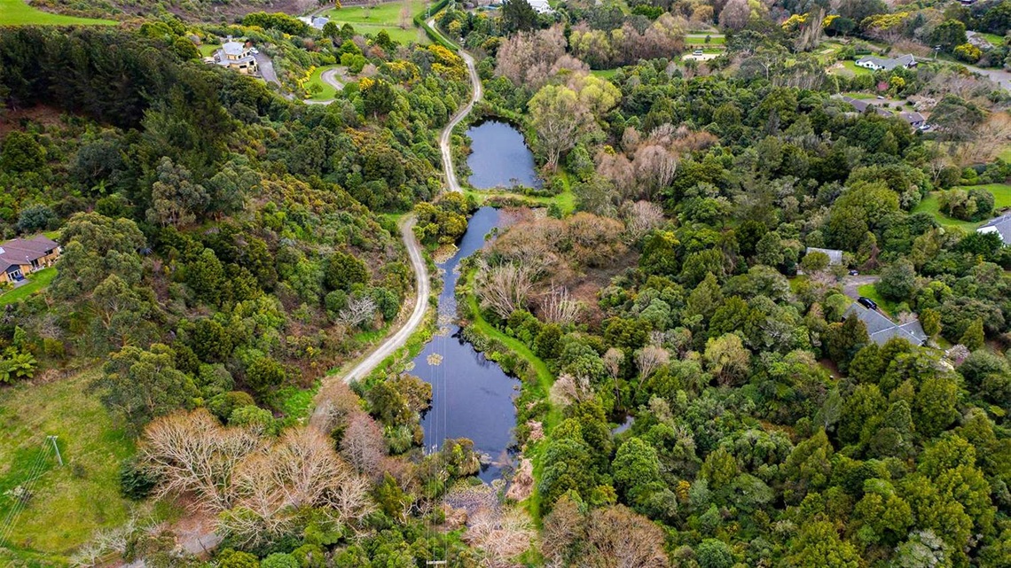 Photo shows aerial view of a heavily forested reserve in a gully with a walkway winding up and down hill and along a waterway.