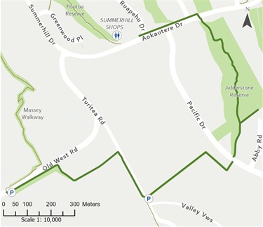 Map of Turitea and Adderstone Walkways