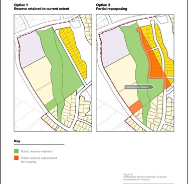 Adderstone Reserve retention vs partial repurposing for housing.