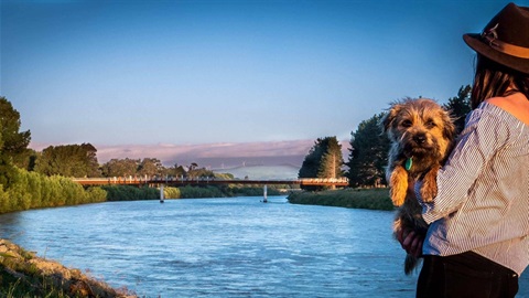Photo shows woman holding small shaggy dog, which is looking directly into the camera. She's looking out at the river and He Ara Kotahi bridge in the background.