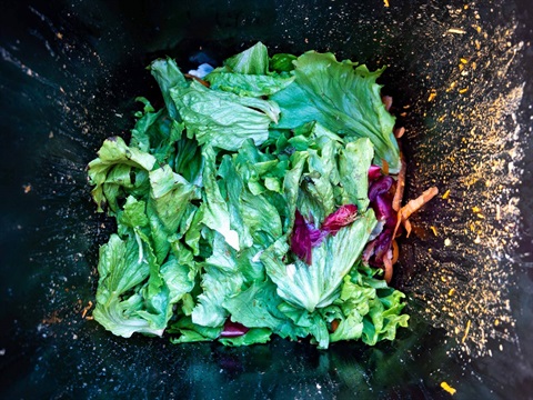 Image shows waste vegetable leaves in a rubbish bin