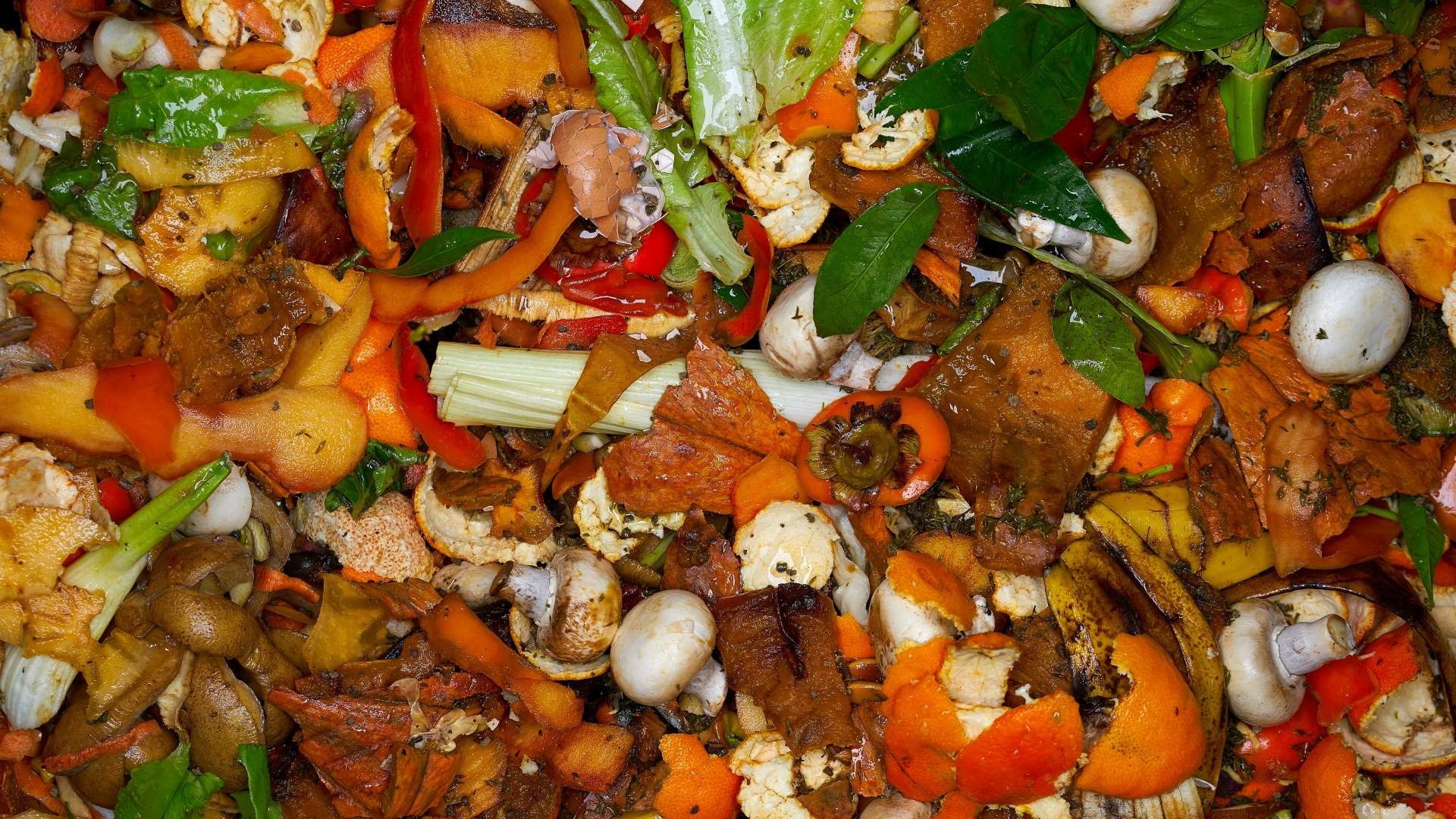 Photo shows closeup of fruit and vegetable scraps and peels.