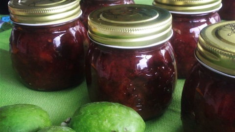 Photo shows feijoas on a table alongside small preserving jars filled with homemade chutney.