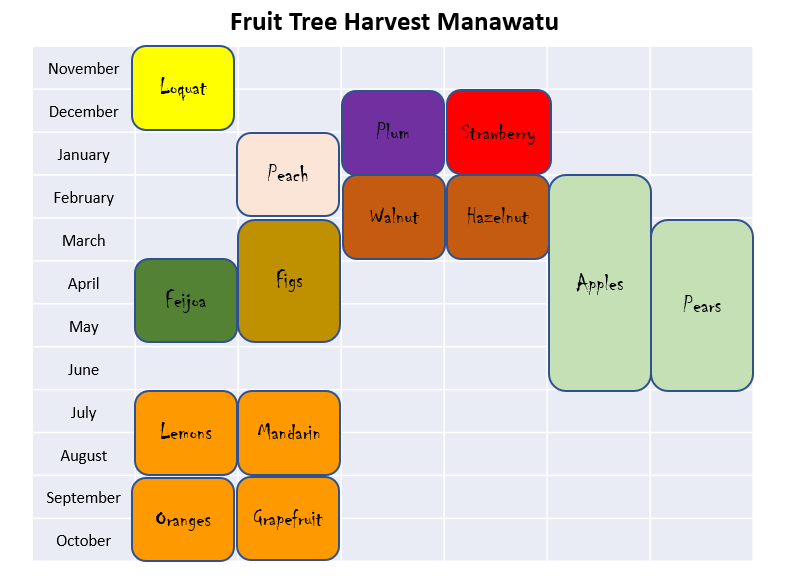 A chart shows the fruit tree harvest schedule in Manawatū