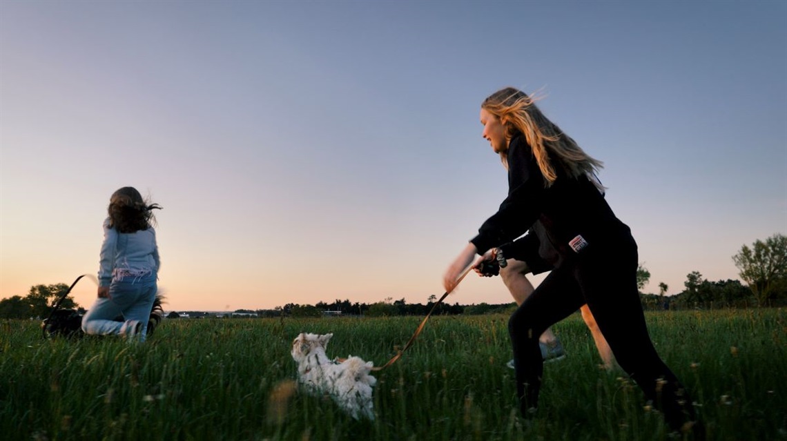 Children and a dog gambolling through the long grass at the reserve as the daylight fades.