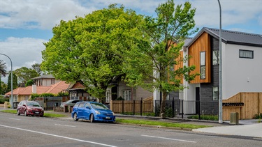 local example of modern townhouses