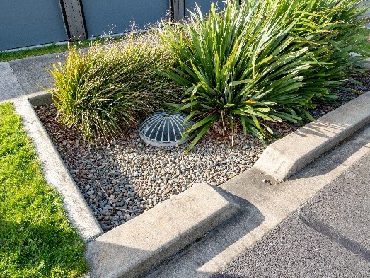 image of a rain garden on road side