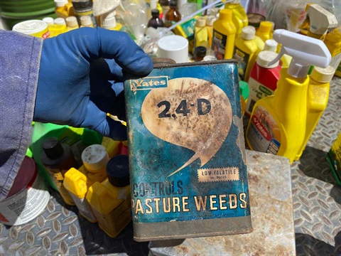 photo shows someone holds a rust can labelling pasture weeds