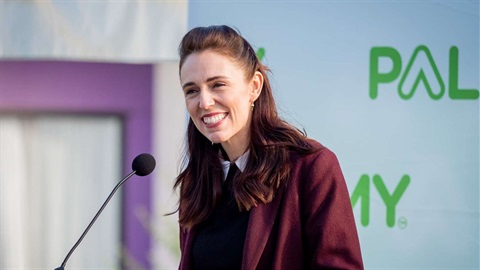 The prime minister smiles as she opens the new homes council has built in Papaioea Place.