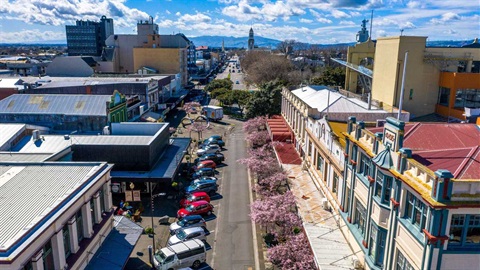 A wide city street with heritage buildings, lots of parked cars, and cherry trees in full blossom.