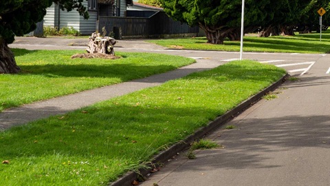 a roadside berm