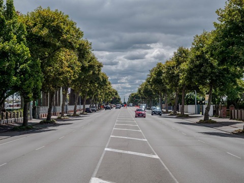 Image shows a main road with trees on both sides
