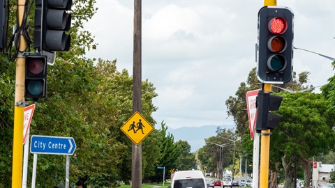 Image shows traffic signals installed at a crossing