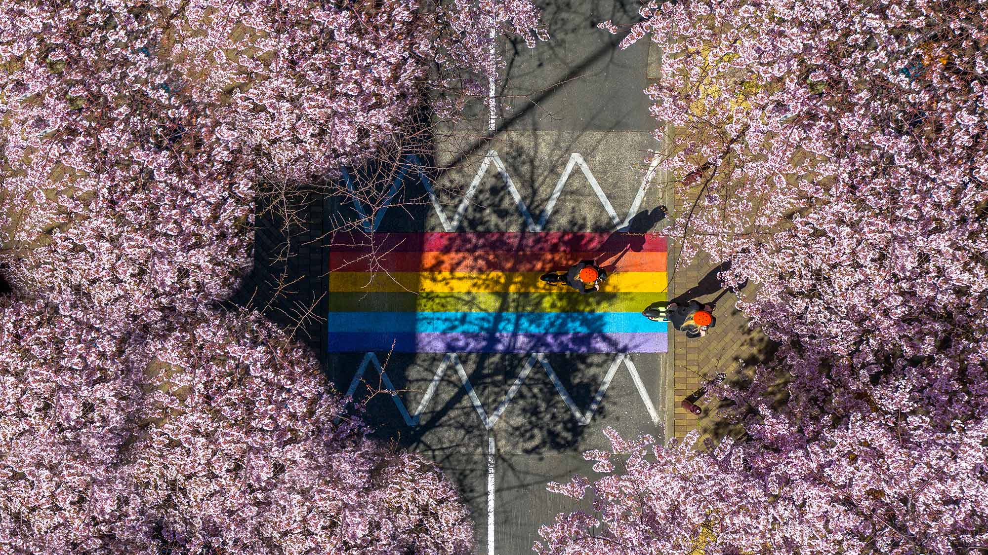 Image fade background image