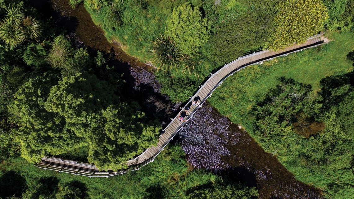 Aerial shot of people crossing a bridge over the Turitea Stream.