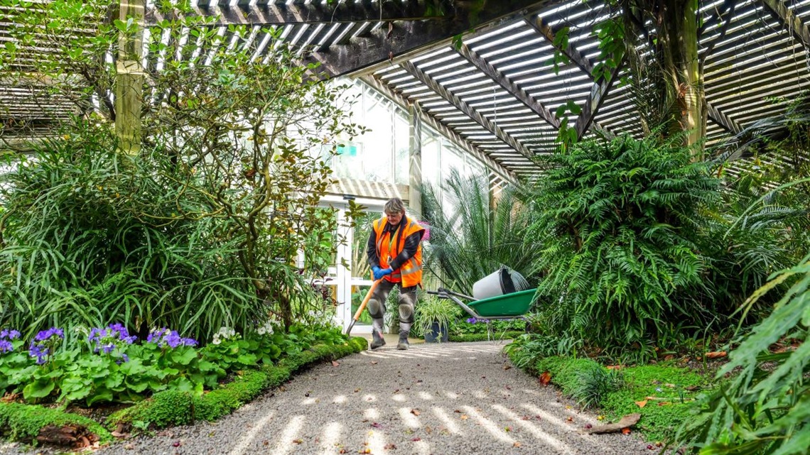Plants in the lath house enjoy the filtered sunlight through the roof slats but are protected from wind and frost.