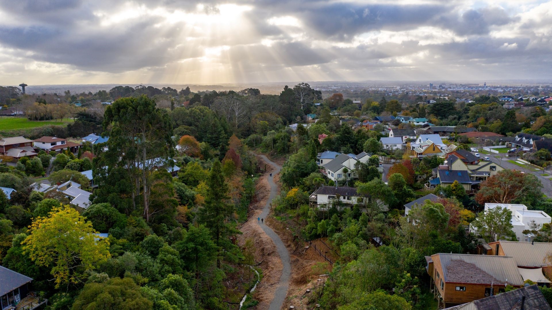 Aerial view of walkway with trees on one side and suburban homes on the other.