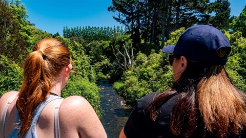 Two women looking at the view from a bridge over a stream with lots of native bush on either side of the bank.