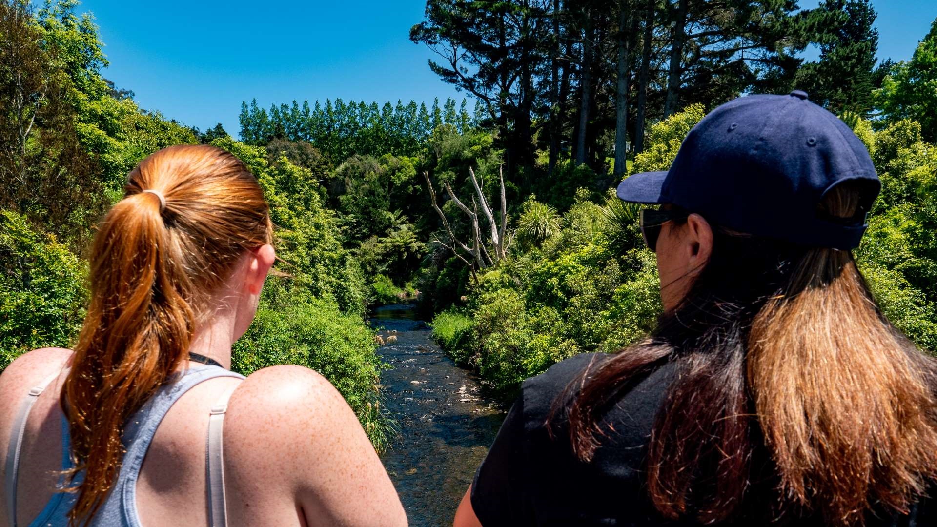 Two women looking at the view from a bridge over a stream with lots of native bush on either side of the bank.
