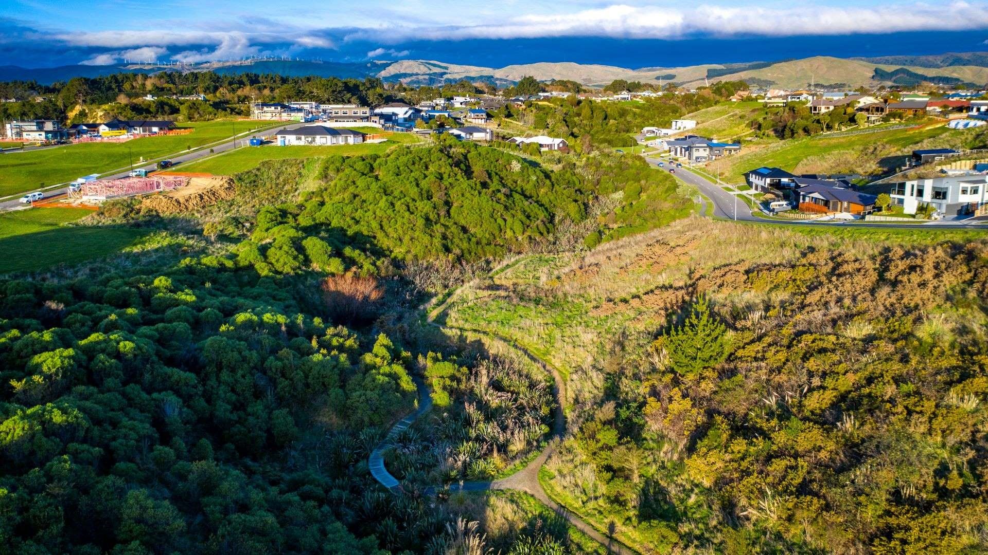 Aerial view of walkway zigzagging downhill through a steep hill reserve lushly planted with natives.