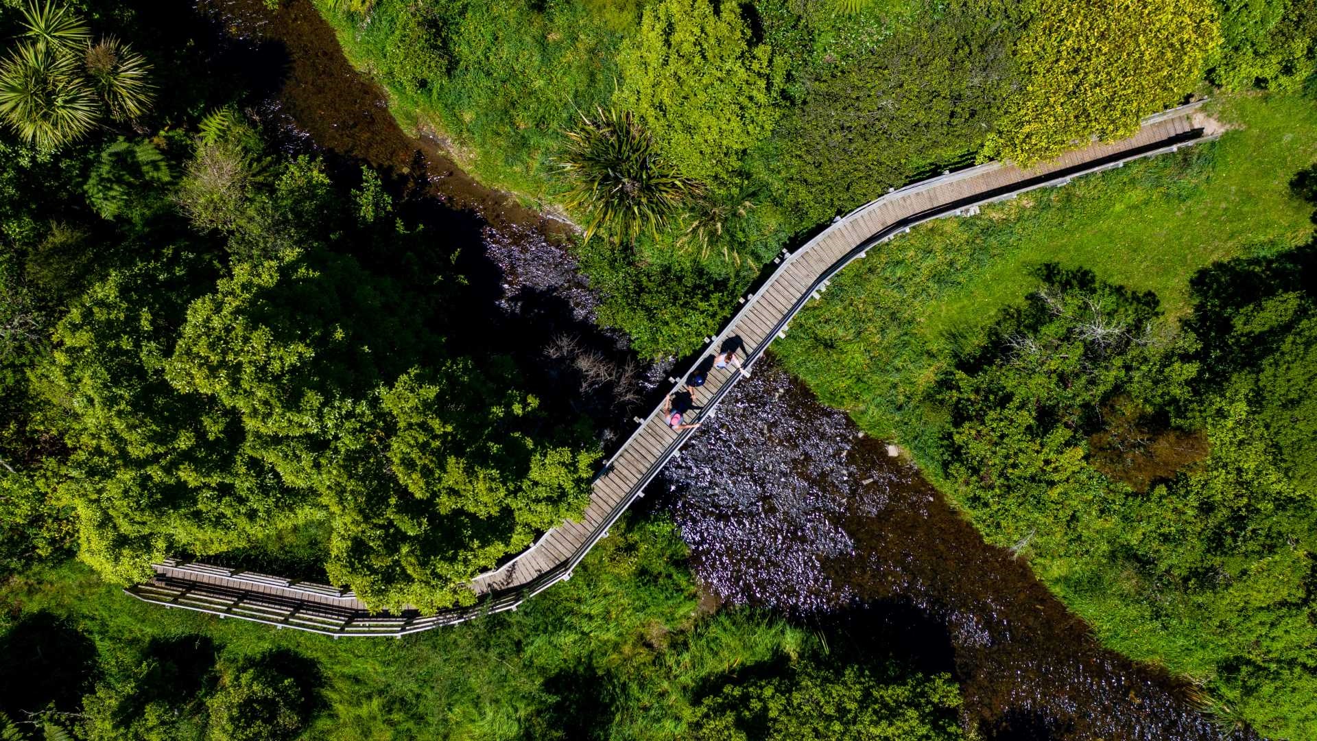 Aerial view of people walking over a bridge across a stream surrounded by native vegetation.