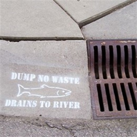 Photo shows stormwater grate on roadside with picture of fish and words: Dump no waste. Drains to river.