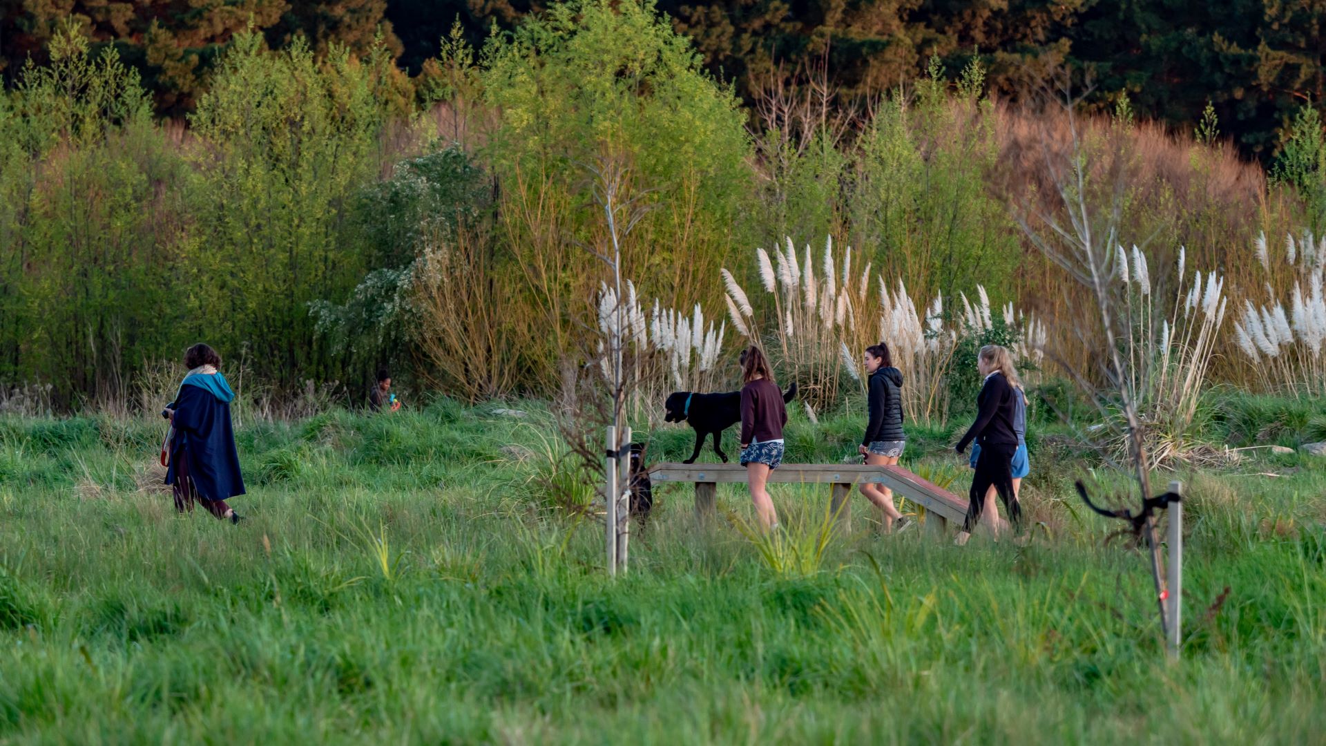 Two women and three teenagers walking a dog through long grass with trees in the background.