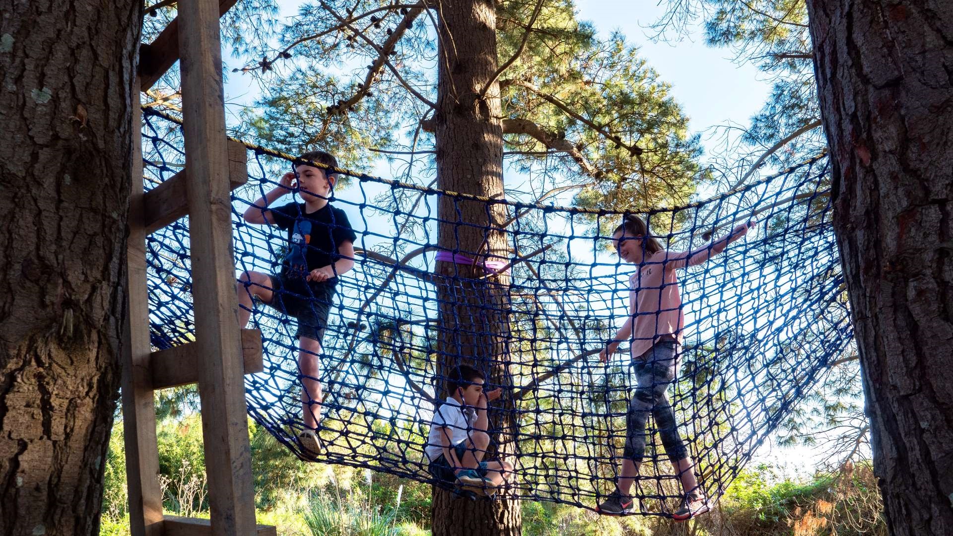 Photo shows three children walking above the ground in a net stretched between two trees.