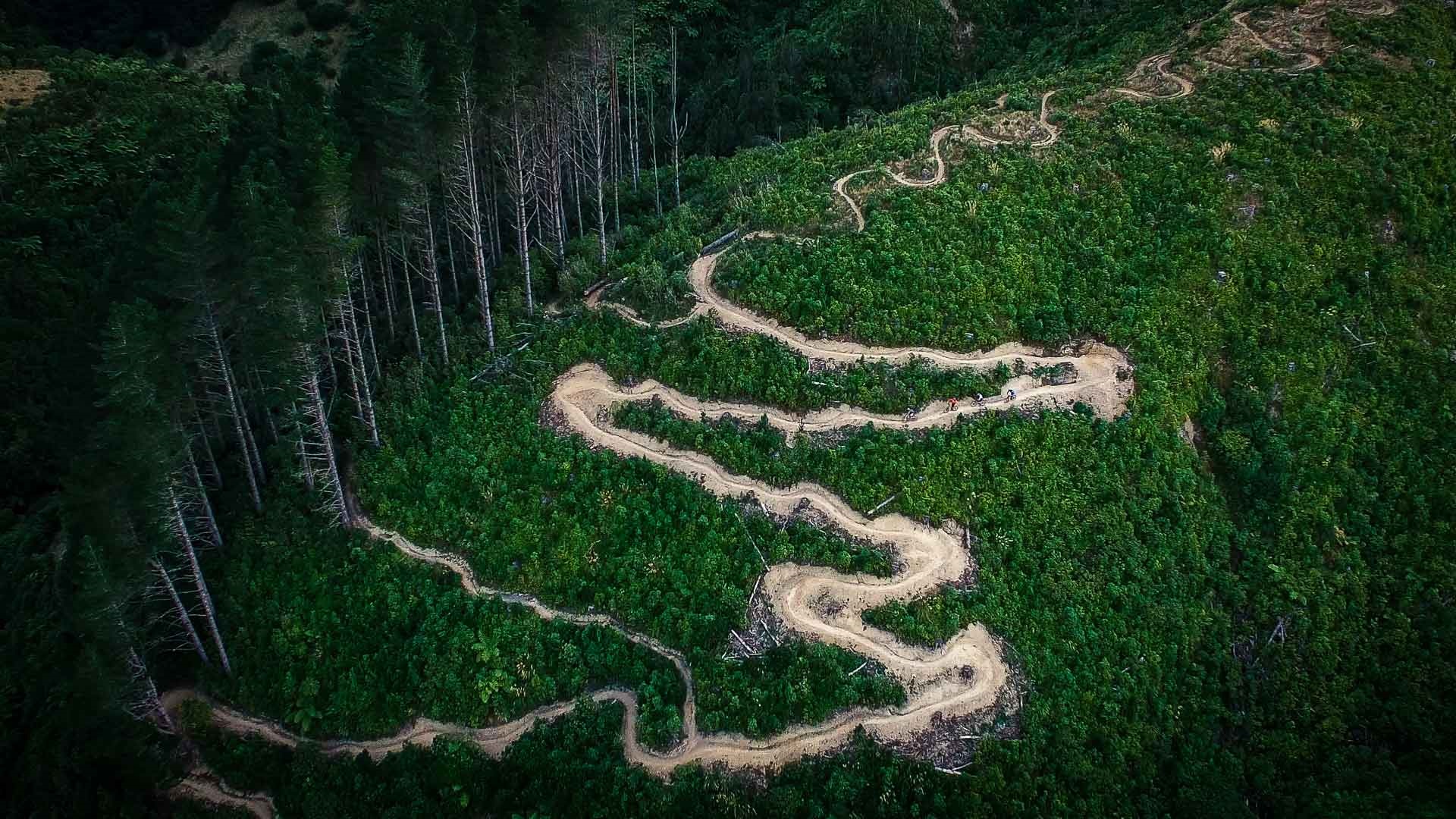 Photo shows aerial view of people mountain biking on a hill track snaking through a forest.