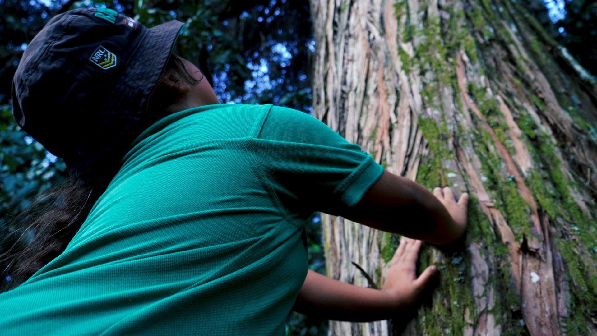 Photo shows closeup of child gazing upwards and touching the trunk of a huge tree.