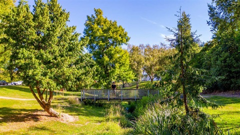 Man standing on a bridge over a stream in a tree-filled park.