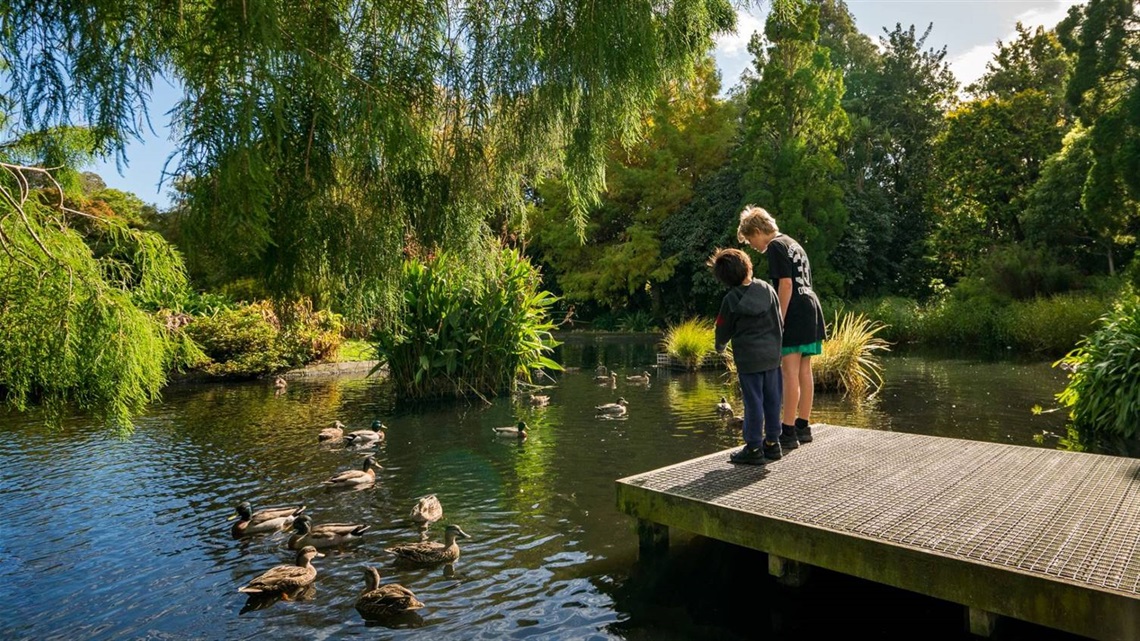 Photo shows two kids on boat ramp, pointing at ducks swimming in the water below them, with riparian planting and willows in the background.ng underneath autumn trees.