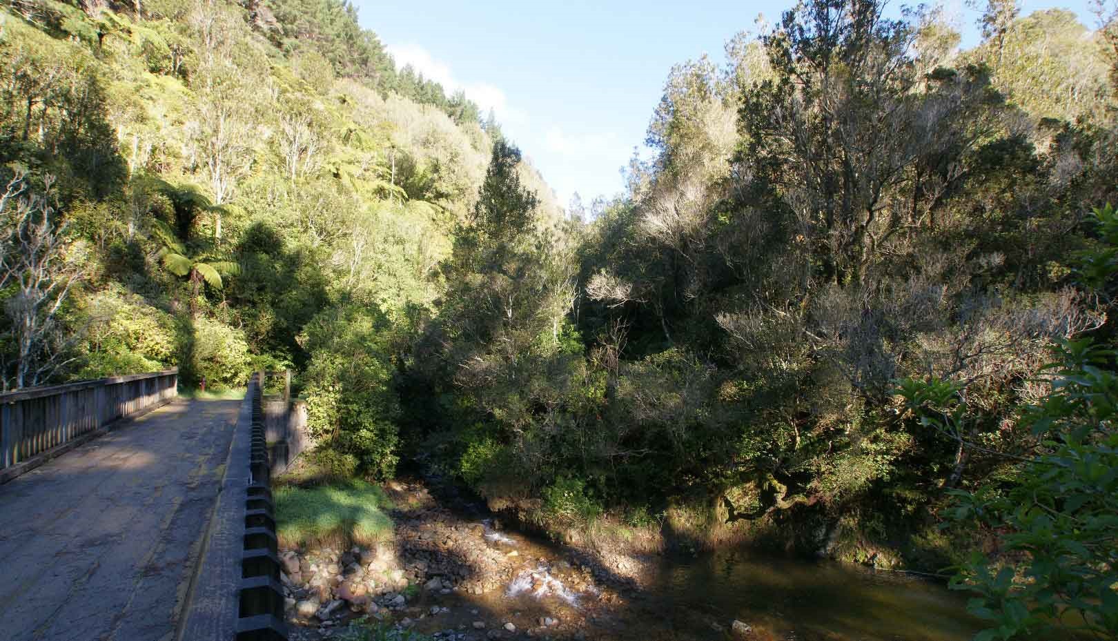 Photo shows wooden track built across a tree-lined gully in the reserve.