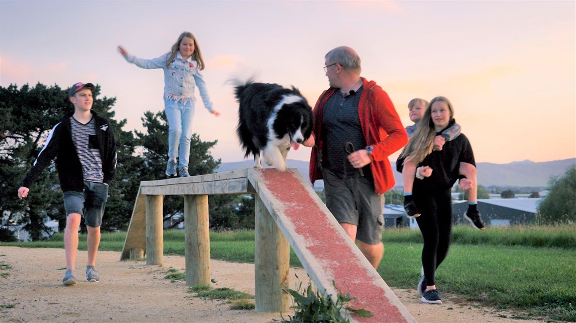 linklater-dog-park.jpg