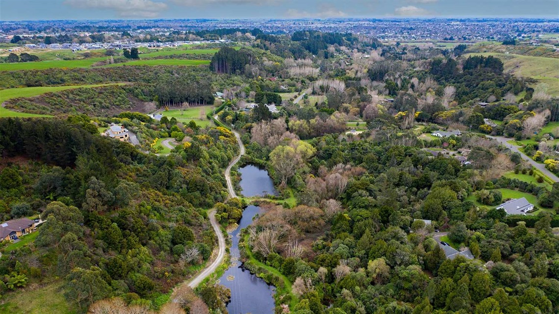 Photo shows lush reserve heavily planted with trees. There is a waterway and a limestone walkway winding alongside it.